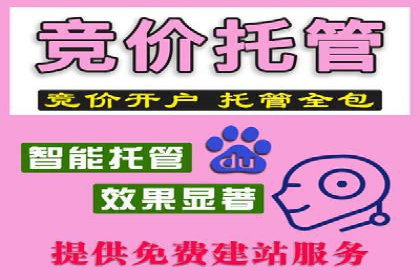 某某SEM服务公司：一则关于广告投放的精彩案例